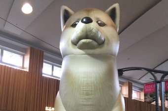 秋田でフィルムについて考える